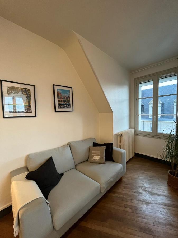 Entre Loire & Chateau - Vue Exceptionnelle A บลัวส์ ภายนอก รูปภาพ