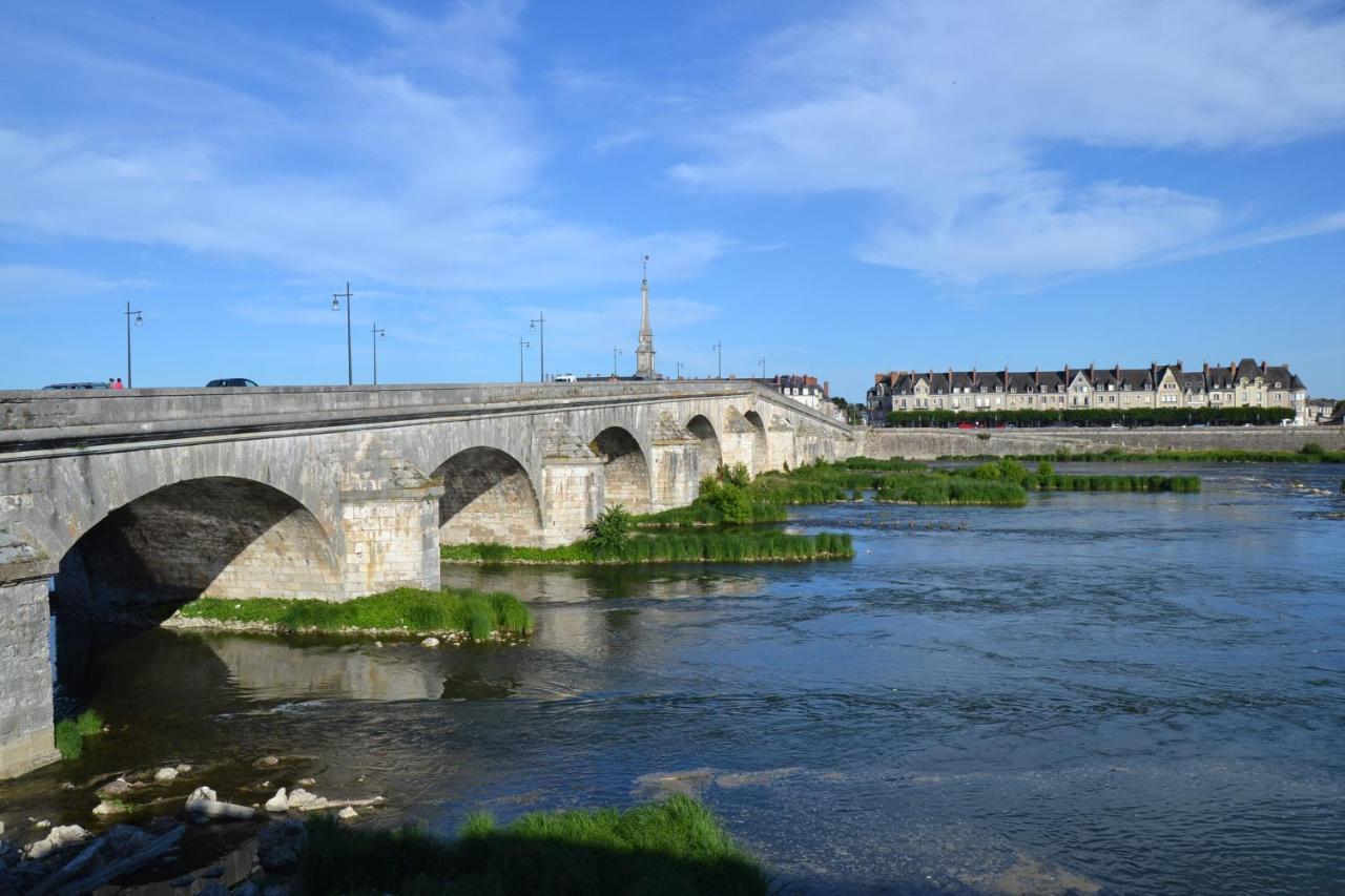 Entre Loire & Chateau - Vue Exceptionnelle A บลัวส์ ภายนอก รูปภาพ